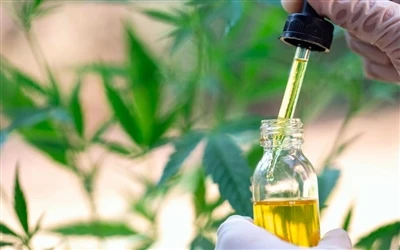 9 benefícios para a saúde do óleo CBD – e efeitos colaterais