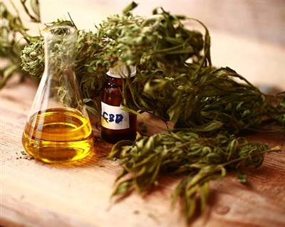 Como funciona o CBD?