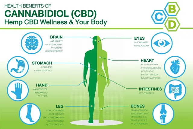 Os 5 principais benefícios do óleo CBD para a saúde – e uma análise dos efeit...