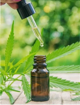 O que saber antes de experimentar o CBD