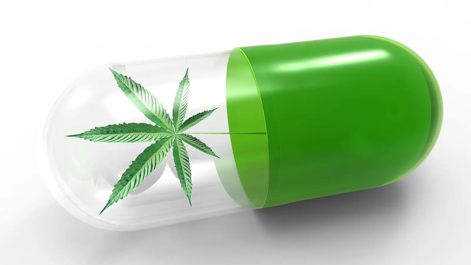 O CBD é legal? Guia completo das leis da CBD por estado