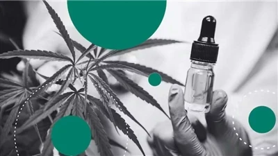Cânhamo Vs CBD: Qual é a diferença?