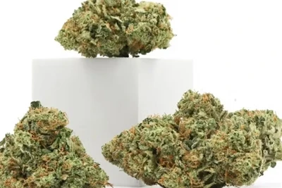 Por que o CBD é o melhor protetor labial natural