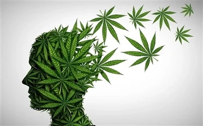 Como usar o óleo CBD para obter os melhores benefícios: guia completo?